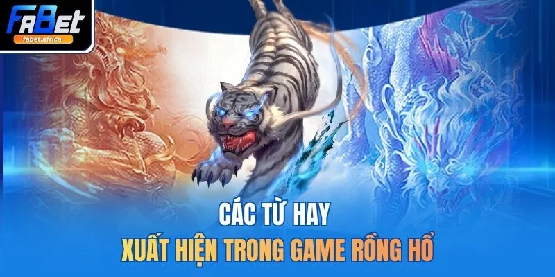 Rồng Hổ FABET Sảnh Đấu Cân Não Với Tỷ Lệ Trả Thưởng Tốt 3 Các từ hay xuất hiện trong game rồng hổ
