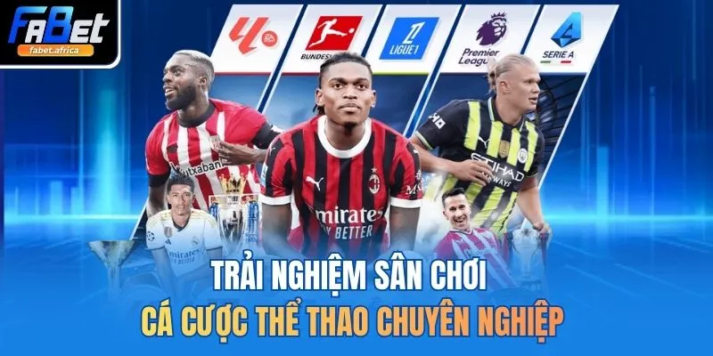 Trải nghiệm sân chơi cá cược thể thao chuyên nghiệp